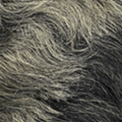 swatch_image