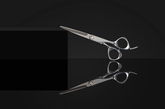 DIANE Fromm Transform 5.25" Shear (Silver)