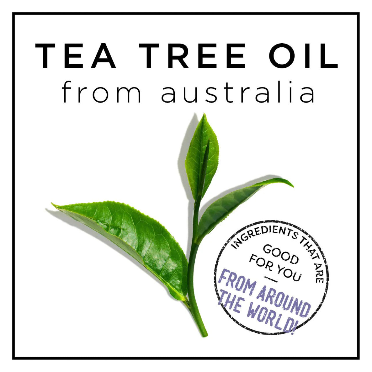 HASK Tea Tree Oil & Rosemary Hair & Scalp Treatment Mask (1.75oz)