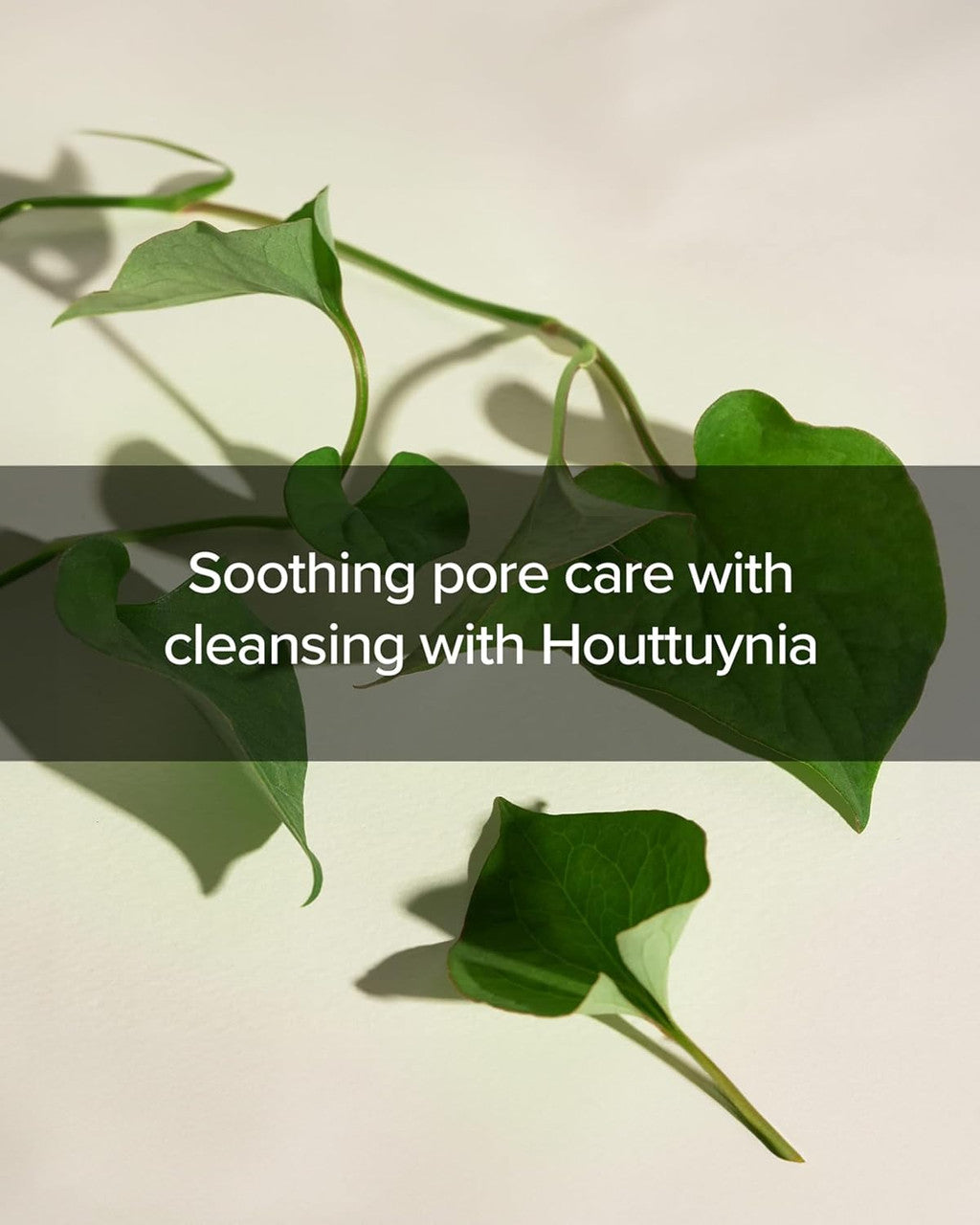 MARY & MAY Houttuynia Cordata Tea Tree Deep Clean Foam (5.07oz)