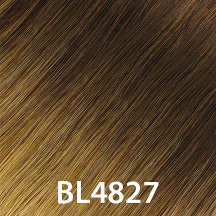 swatch_image - HAIR COUTURE - Color BL4827