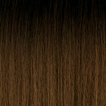 OUTRE Converti Cap Premium Synthetic Wig - LIVING LEGEND - Color DR2/Honey Brown swatch