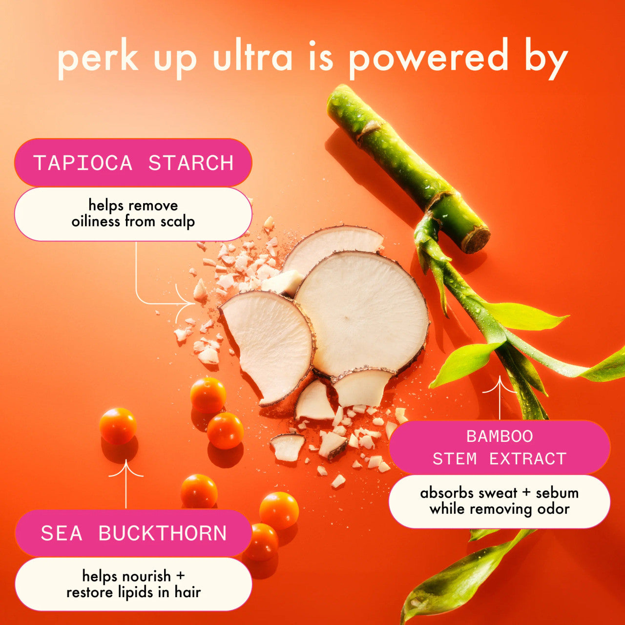 AMIKA Perk Up Dry Shampoo (5.3oz)