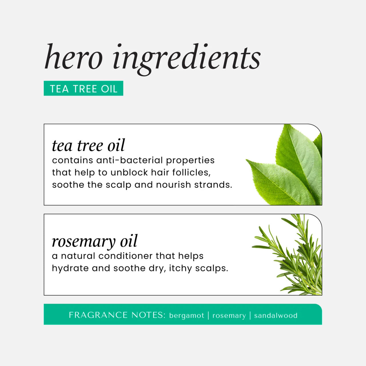 Hask Tea Tree Oil Shampoo  (12 oz)