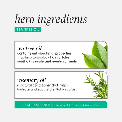 Hask Tea Tree Oil Shampoo  (12 oz)