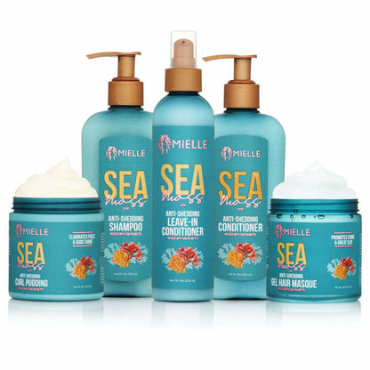 Mielle Sea Moss Anti-Shedding Shampoo (8 oz)
