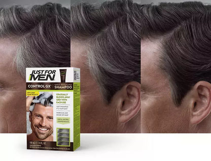 JUST FOR MEN Control GX Shampoo