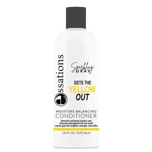 Essations Sparkling Gray Moisture Balancing Conditioner (16 oz)