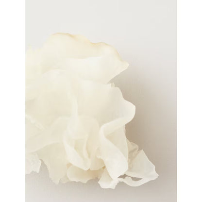 AG Care Nourish Snow Mushroom Moisture Mask (5oz)
