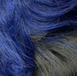 swatch_image