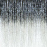 SM1B/60