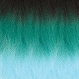 3T1B/MINT/LMINT