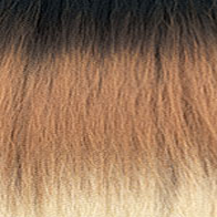 swatch_image