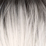 DR Platinum Blonde