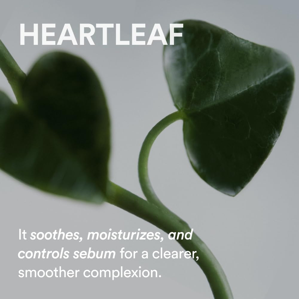 [Abib] Heartleaf Oil-Wash Pore Cleansing Oil (6.76oz)