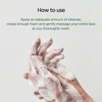 Anua Heartleaf Quercetinol Pore Deep Cleansing Foam (5.07 oz)