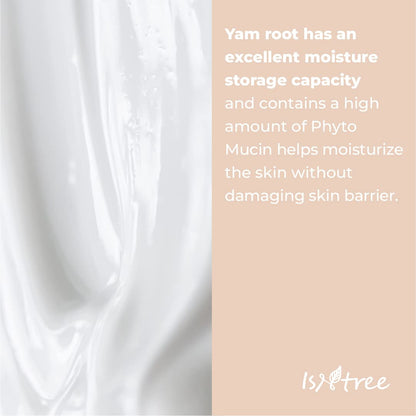 [ISNTREE] Yam Root Vegan Milk Cleanse (7.43 oz)