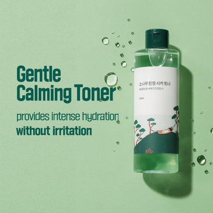 ROUND LAB Pine Calming CICA Toner (8.45oz)