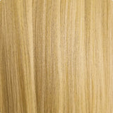 Champagne Blonde