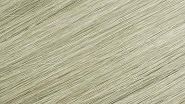 swatch_image - HAIR COUTURE - Color 60