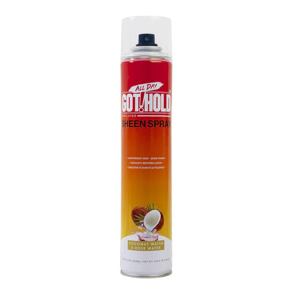 ALL DAY GOT HOLD Sheen Spray