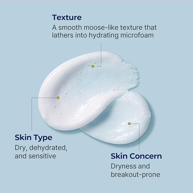 TORRIDEN DIVE IN Low Molecular Hyaluronic Acid Cleansing Foam (5.07 oz)