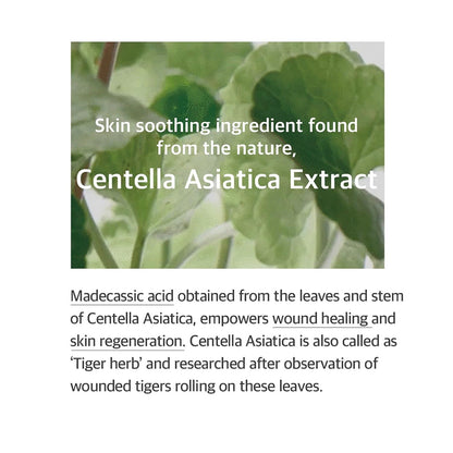 [MIXSOON] Soondy Centella Asiatica Essence (3.38 oz)
