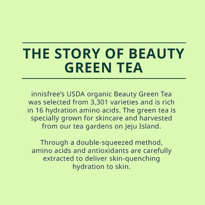 INNISFREE Green Tea Hydrating Sleeping Mask (2.7 oz)