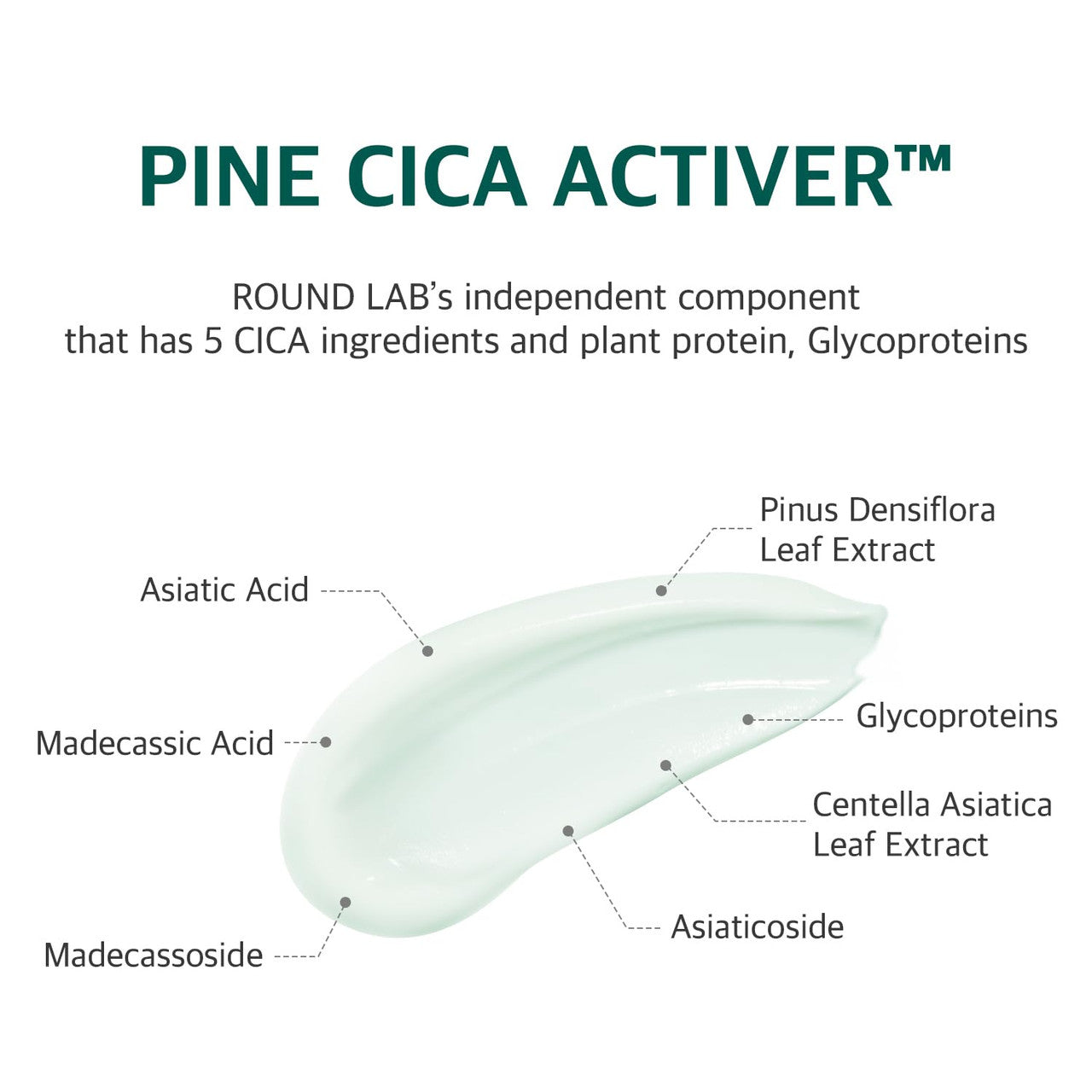 ROUND LAB Pine Calming Cica Cream (1.69 oz)