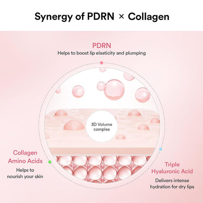 [Abib] PDRN Collagen Lip Mask Glazed Jelly (0.38oz)