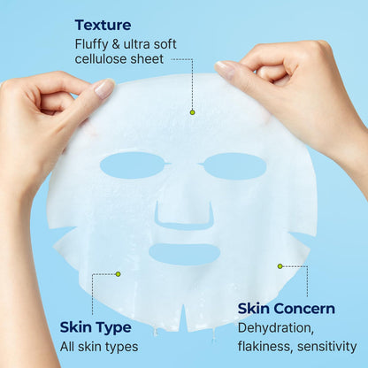TORRIDEN Dive-In Low Molecule Hyaluronic Acid Face Mask (1 Sheet)