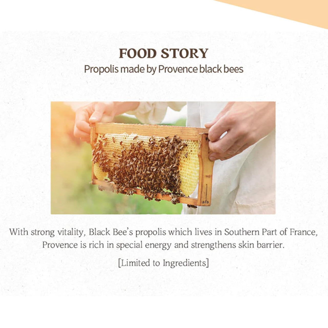 [SKINFOOD] Royal Honey Propolis Enrich Emulsion (5.41 oz)