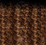 DRF2/Auburn Spice