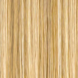Golden Honey Blonde