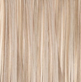 Frosted Ash Blonde