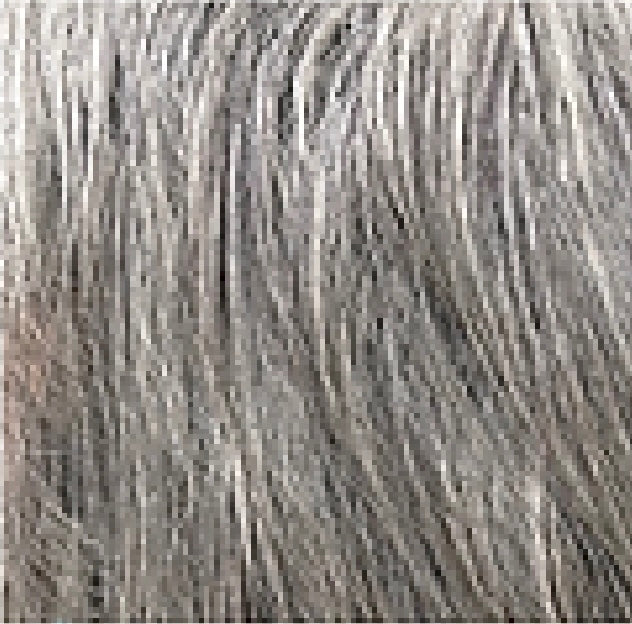 swatch_image