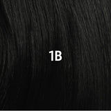 1B