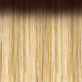 DR4/Golden Honey Blonde
