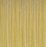 Swedish Blonde