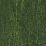 Olive (x 5 )