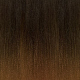 2T1B/30 (x 10 )