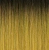 T1B/MUSTARD (x 10 )