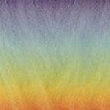 RAINBOW (x 10 )