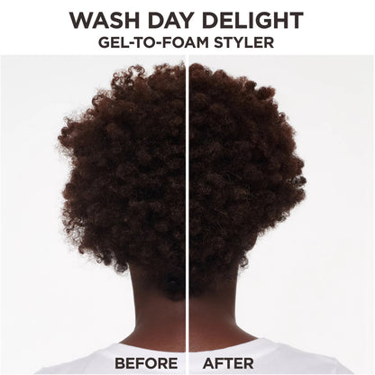 Carol's Daughter Wash Day Delight [Hair Gel to Foam Styler]
