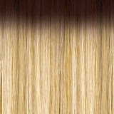 DR4/Golden Honey Blonde