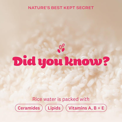 THE FACE SHOP Rice Water Bright Cleansing Facial Wipes, Vegan (50CT)