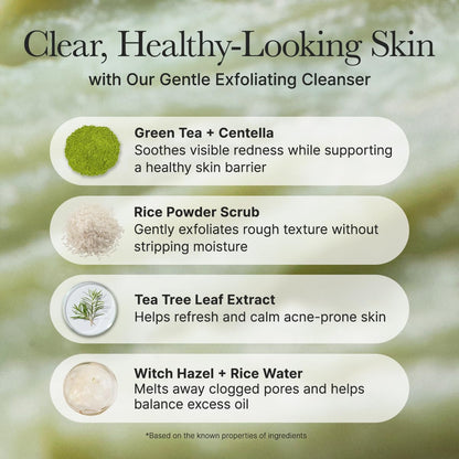 ARENCIA Fresh Green Rice Mochi Cleanser (4.23oz)