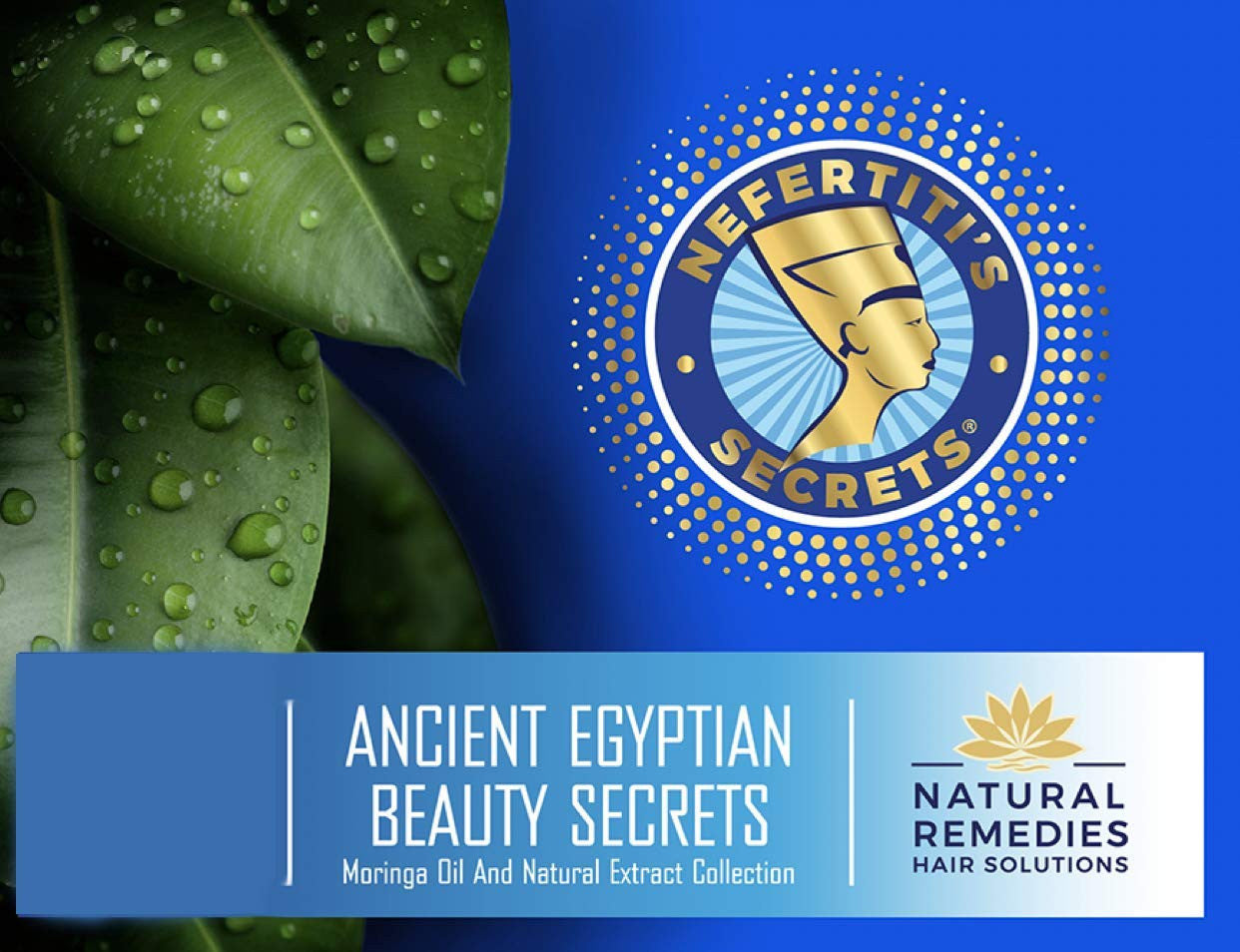 Nefertiti's Secrets Complete Hydration Conditioner