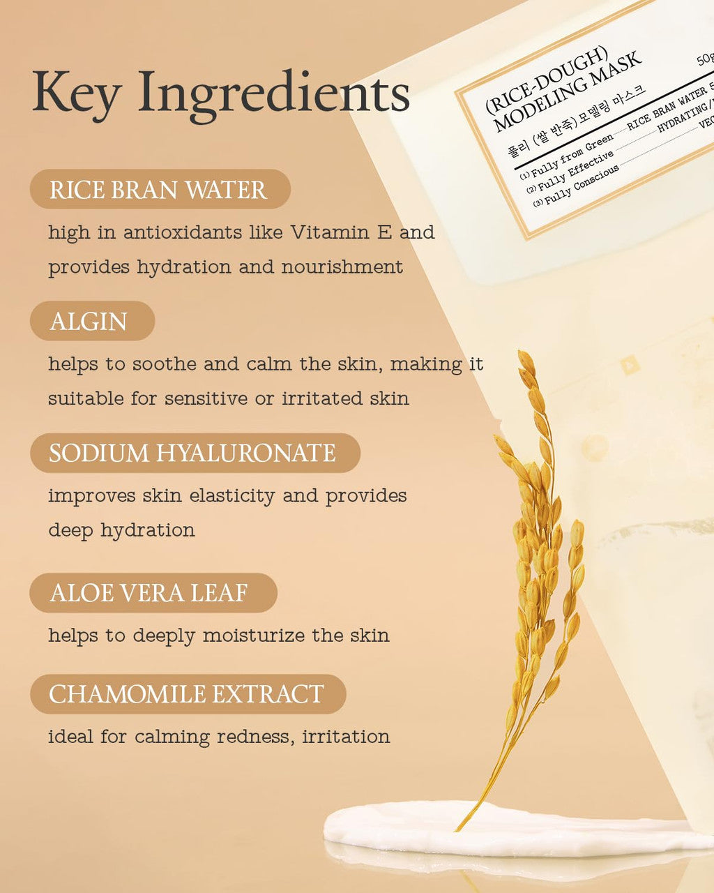 FULLY Rice Dough Facial Modeling Mask (1Sheet)