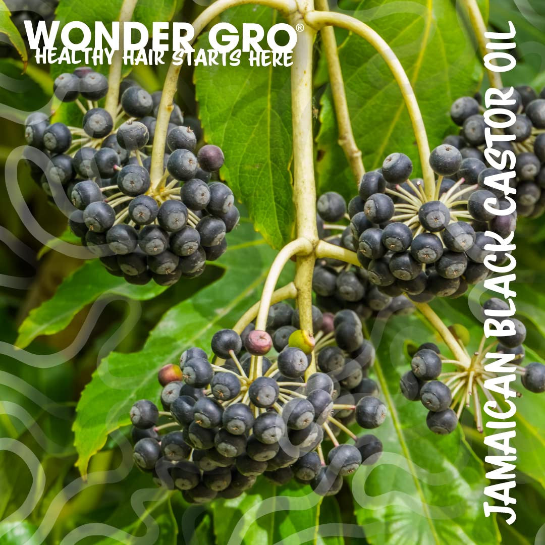 WONDER GRO Jamaican Black Castor Oil Hair Grease Styling Conditioner (12 oz)